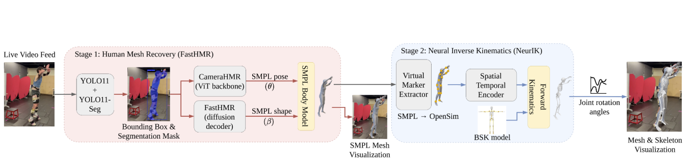 Real-Time Neural Musculoskeletal Pose Estimation